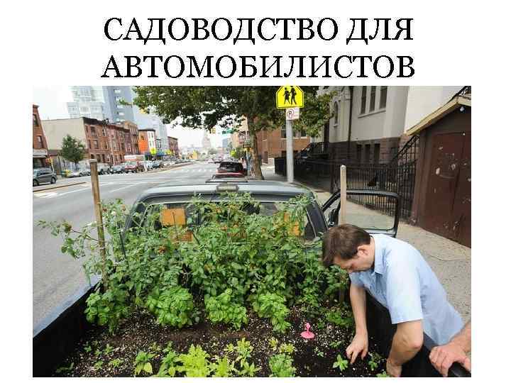 САДОВОДСТВО ДЛЯ АВТОМОБИЛИСТОВ 