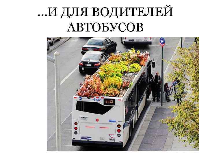 …И ДЛЯ ВОДИТЕЛЕЙ АВТОБУСОВ 
