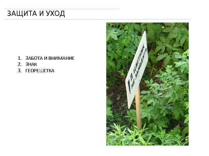 ЗАЩИТА И УХОД 1. ЗАБОТА И ВНИМАНИЕ 2. ЗНАК 3. ГЕОРЕШЕТКА 