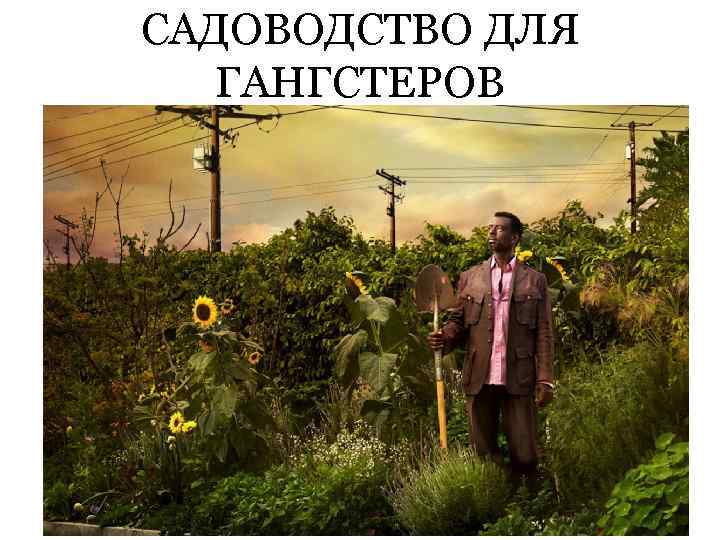 САДОВОДСТВО ДЛЯ ГАНГСТЕРОВ 