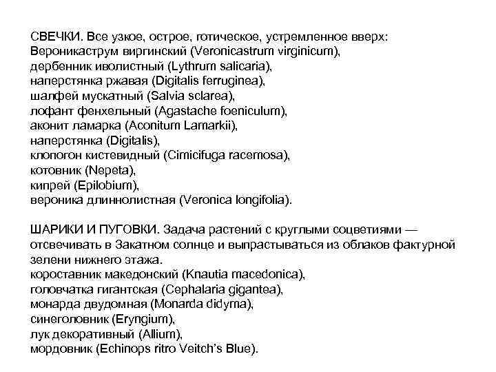 CВЕЧКИ. Все узкое, острое, готическое, устремленное вверх: Вероникаструм виргинский (Veronicastrum virginicum), дербенник иволистный (Lythrum