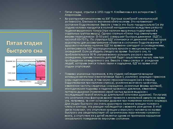 • • Пятая стадия быстрого сна • Пятая стадия, отрытая в 1953 году