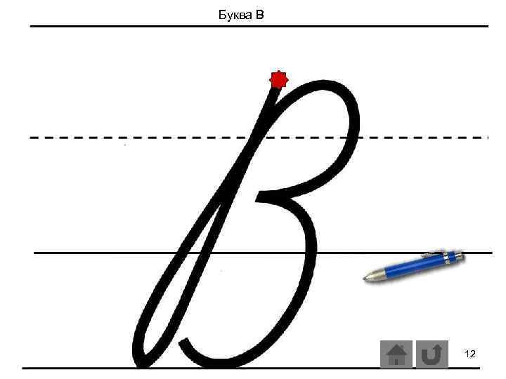Буква В 12 
