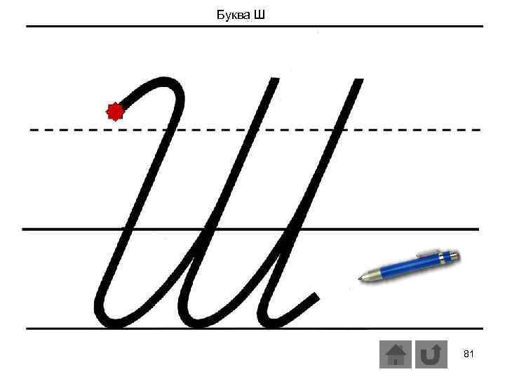 Буква Ш 81 