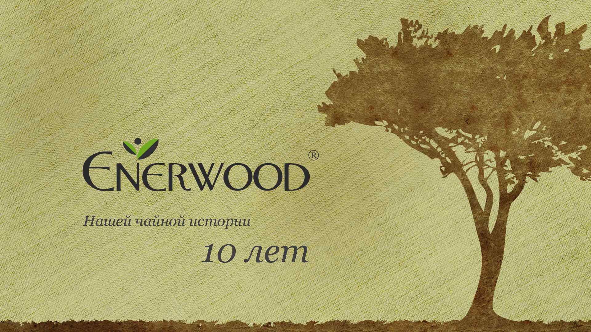 История 10 лет. Enerwood Dream. История чая презентация.