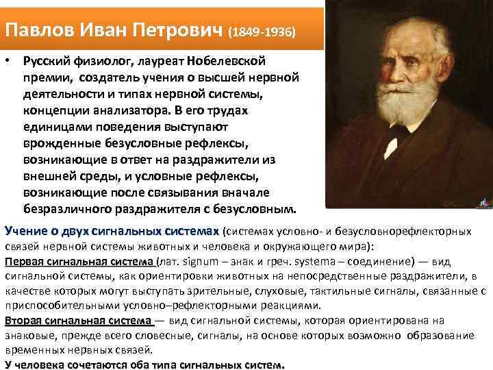 Павлов Иван Петрович (1849 1936) • Русский физиолог, лауреат Нобелевской премии, создатель учения о
