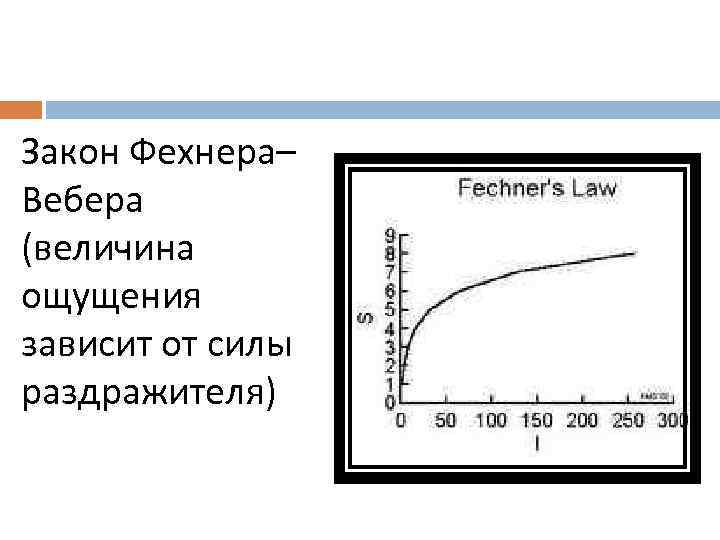 Закон Фехнера– Вебера (величина ощущения зависит от силы раздражителя) 