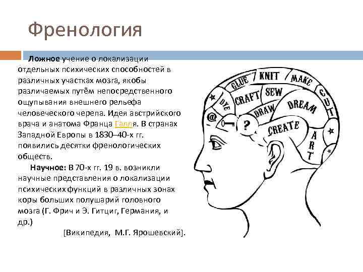 Френология Ложное учение о локализации отдельных психических способностей в различных участках мозга, якобы различаемых