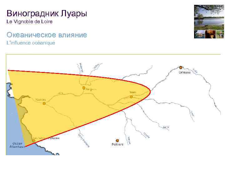 Виноградник Луары Le Vignoble de Loire Океаническое влияние L’influence océanique 20 