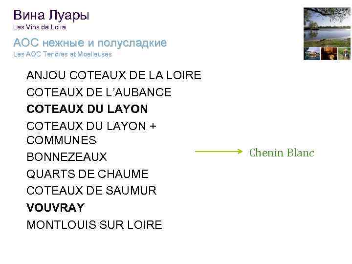 Вина Луары Les Vins de Loire АОС нежные и полусладкие Les AOC Tendres et