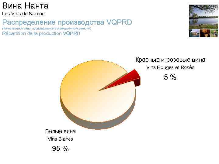 Вина Нанта Les Vins de Nantes Распределение производства VQPRD (Качественное вино, произведенное в определенном