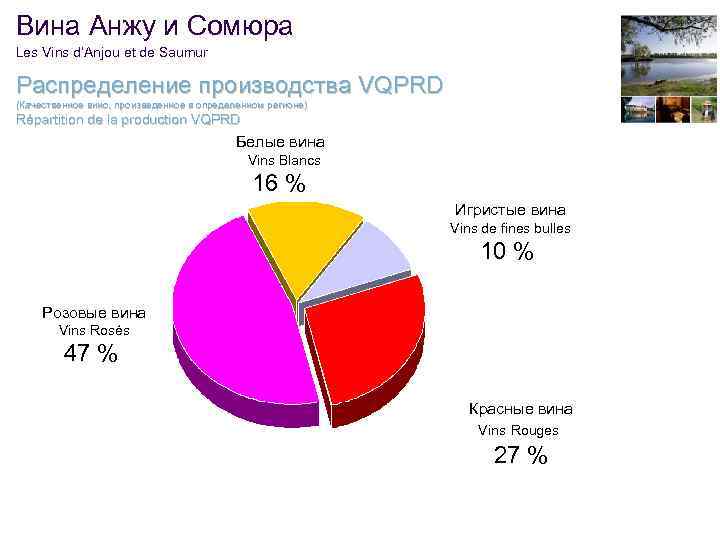 Вина Анжу и Сомюра Les Vins d’Anjou et de Saumur Распределение производства VQPRD (Качественное