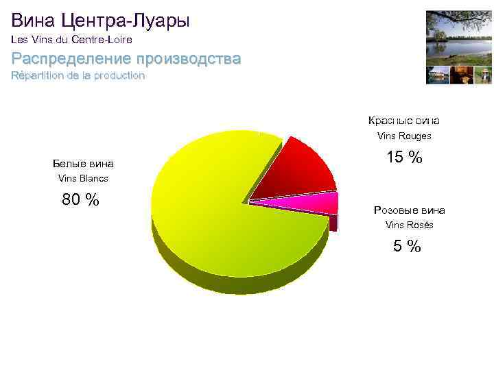 Вина Центра-Луары Les Vins du Centre-Loire Распределение производства Répartition de la production Красные вина