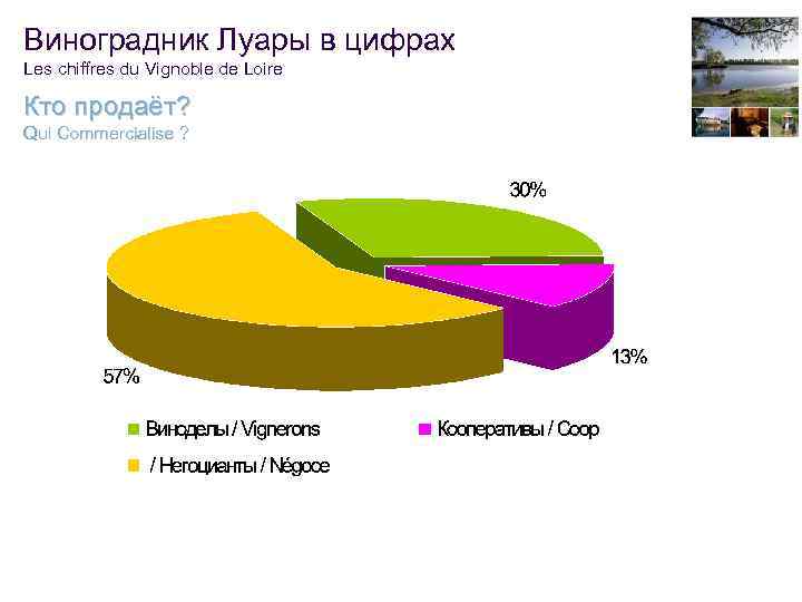 Виноградник Луары в цифрах Les chiffres du Vignoble de Loire Кто продаёт? Qui Commercialise