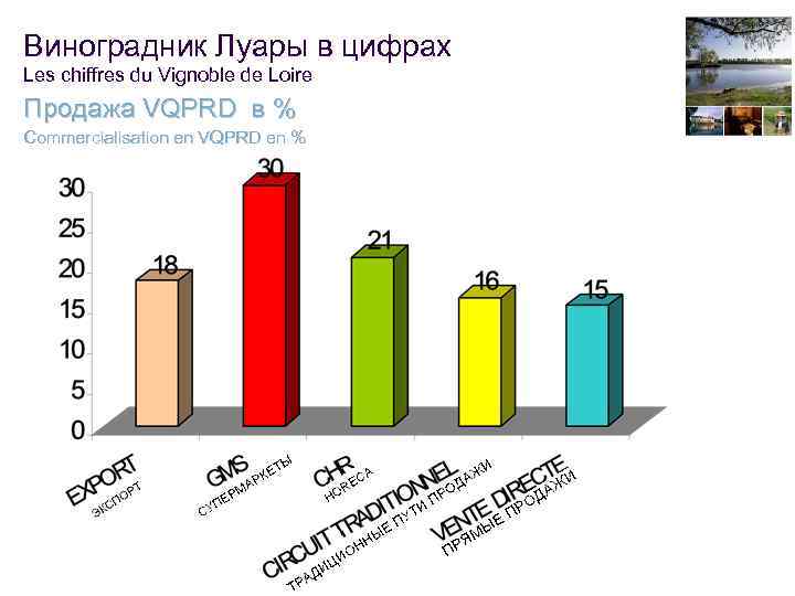 Виноградник Луары в цифрах Les chiffres du Vignoble de Loire Продажа VQPRD в %