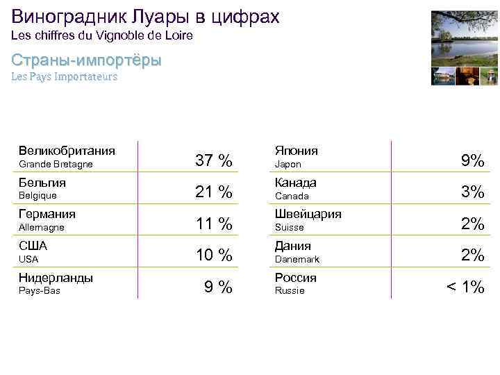 Виноградник Луары в цифрах Les chiffres du Vignoble de Loire Страны-импортёры Les Pays Importateurs