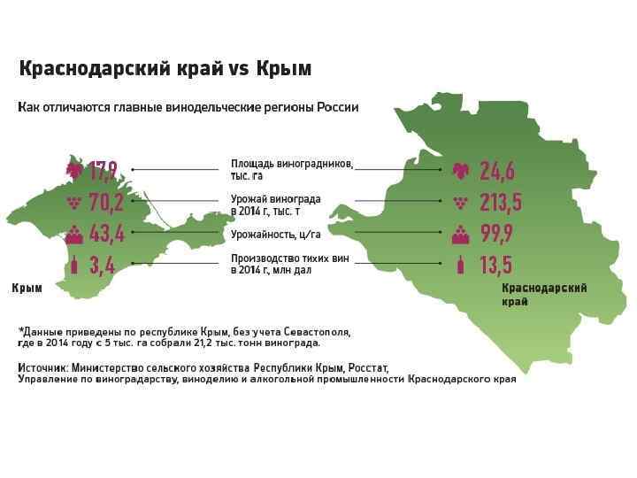 Сколько в краснодарском. Площадь виноградников в России. Площадь виноградных насаждений в России. Виноделие Краснодарского края площадь. Винодельческие регионы Краснодарского края.