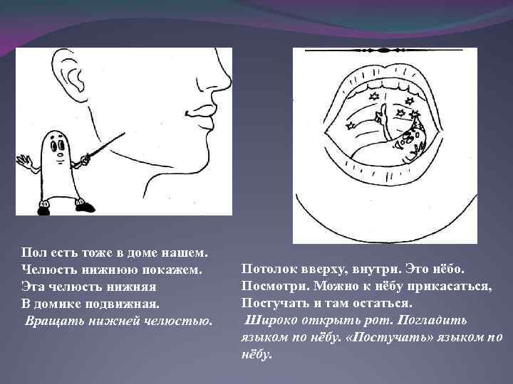 Пол есть тоже в доме нашем. Челюсть нижнюю покажем. Эта челюсть нижняя В домике