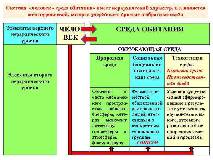 Система «человек - среда обитания» имеет иерархический характер, т. е. является многоуровневой, которая удерживает