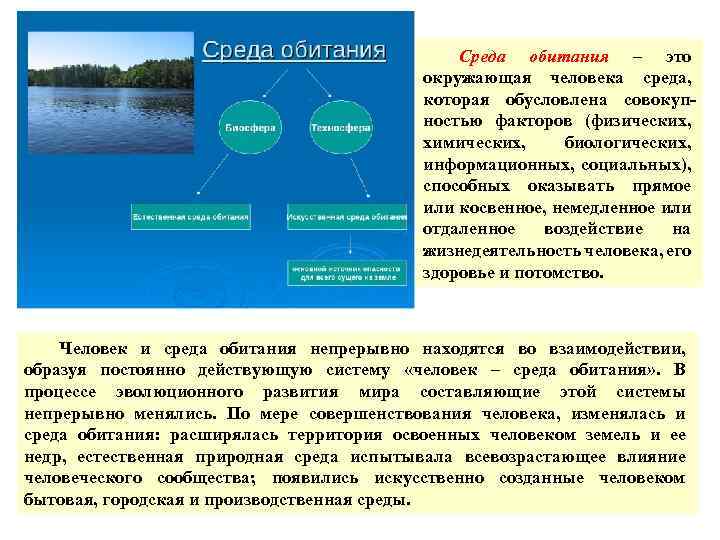 Среда обитания – это окружающая человека среда, которая обусловлена совокупностью факторов (физических, химических, биологических,