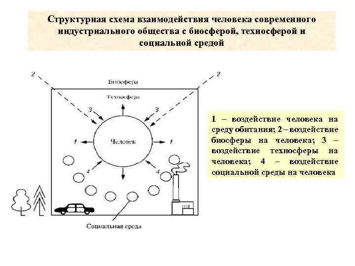 Структурная схема взаимодействия человека современного индустриального общества с биосферой, техносферой и социальной средой 1