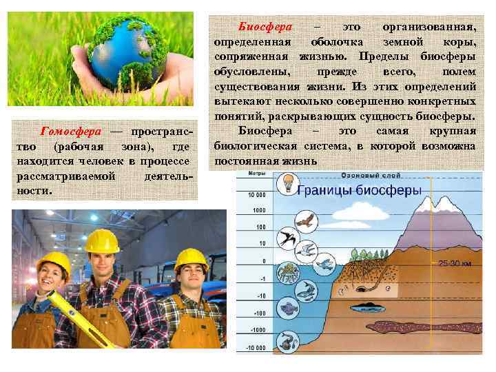 Гомосфера — пространство (рабочая зона), где находится человек в процессе рассматриваемой деятельности. Биосфера –