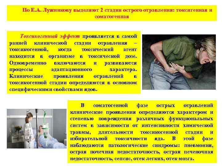 По Е. А. Лужникову выделяют 2 стадии острого отравления: токсигенная и соматогенная Токсикогенный эффект