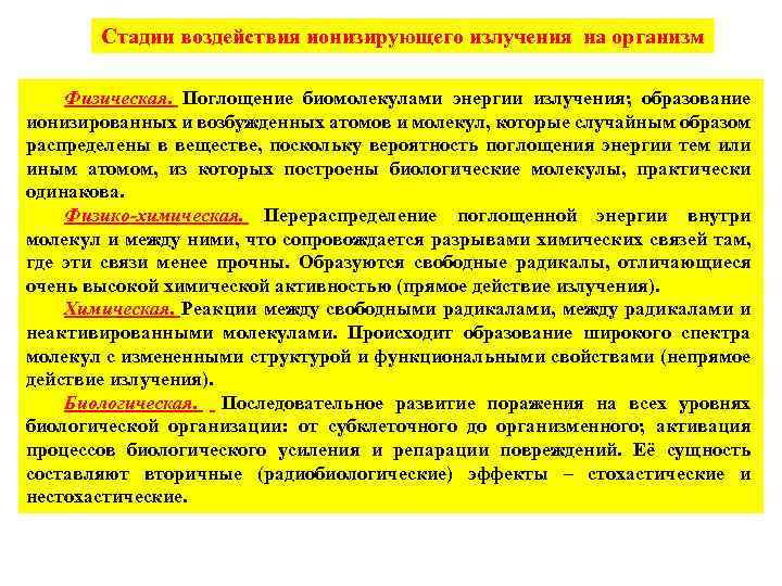 Стадии воздействия ионизирующего излучения на организм Физическая. Поглощение биомолекулами энергии излучения; образование ионизированных и