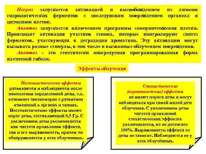 Некроз запускается активацией и высвобождением из лизосом гидролитических ферментов с последующим повреждением органелл и