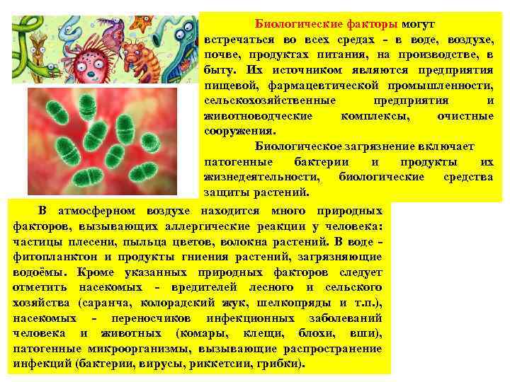 Биологические факторы могут встречаться во всех средах - в воде, воздухе, почве, продуктах питания,