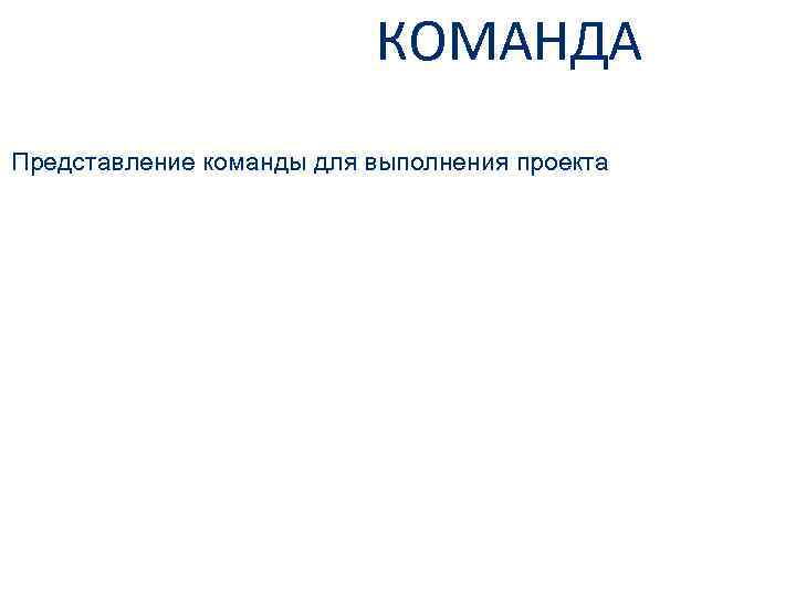 КОМАНДА Представление команды для выполнения проекта 