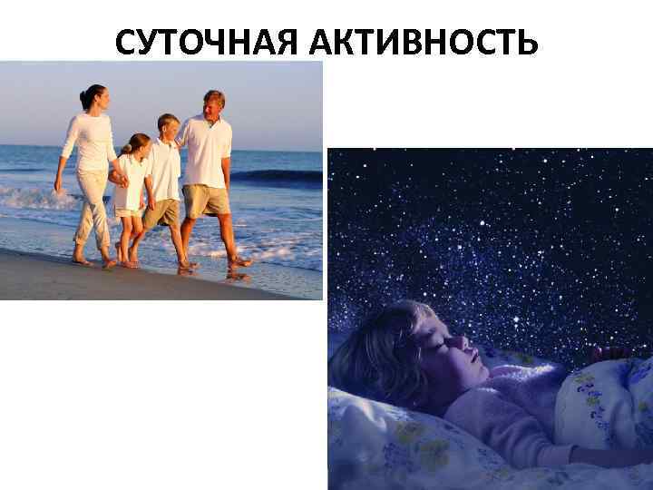 СУТОЧНАЯ АКТИВНОСТЬ 