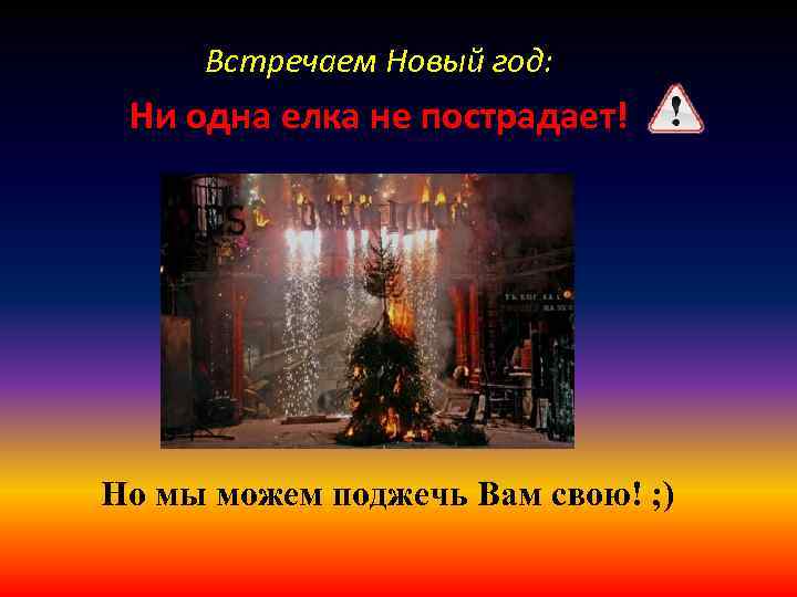Встречаем Новый год: Ни одна елка не пострадает! Но мы можем поджечь Вам свою!
