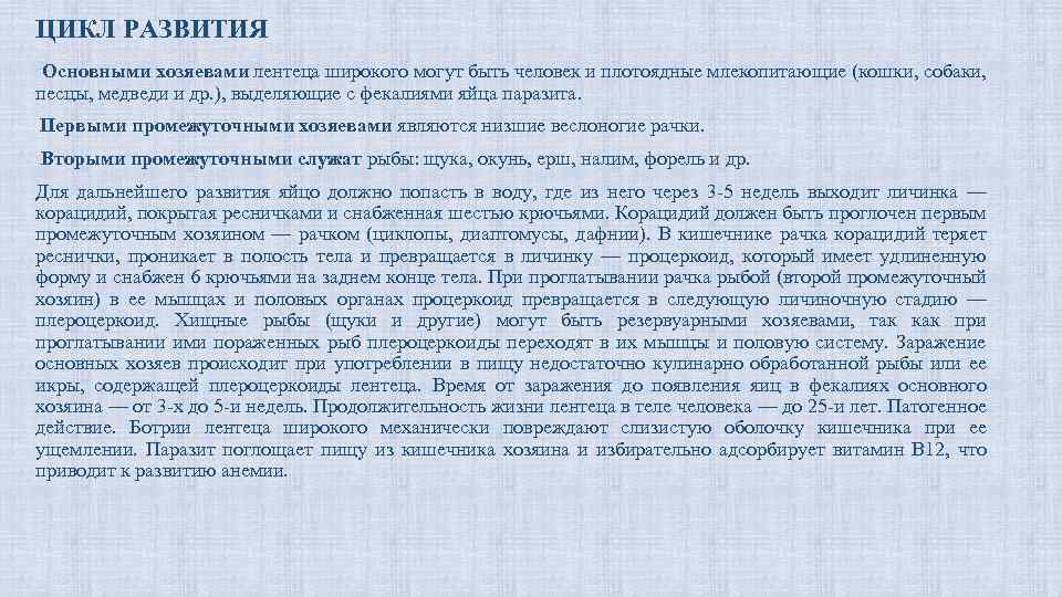 Кто является владельцем дорог. Какой хозяин является основным. Промежуточным хозяином широкого лентеца является.