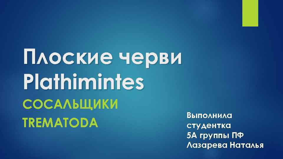 Плоские черви Plathimintes СОСАЛЬЩИКИ TREMATODA Выполнила студентка 5 А группы ПФ Лазарева Наталья 