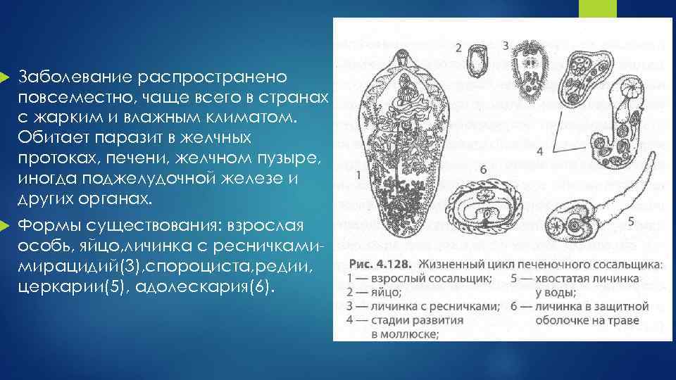  Заболевание распространено повсеместно, чаще всего в странах с жарким и влажным климатом. Обитает