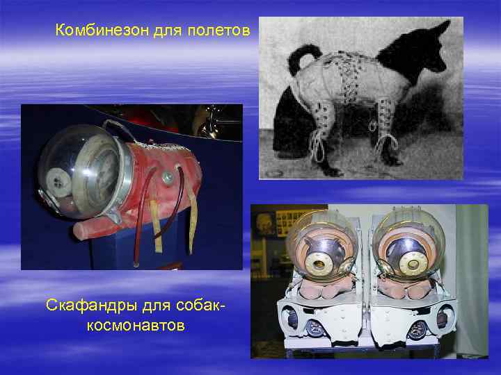 Комбинезон для полетов Скафандры для собаккосмонавтов 