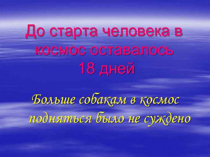 До старта человека в космос оставалось 18 дней Больше собакам в космос подняться было