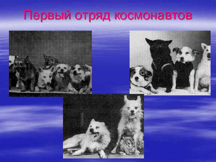 Первый отряд космонавтов 