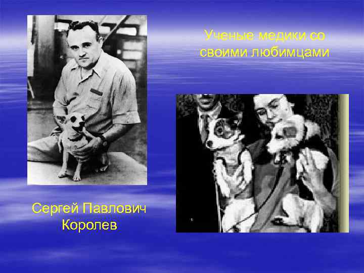 Ученые медики со своими любимцами Сергей Павлович Королев 