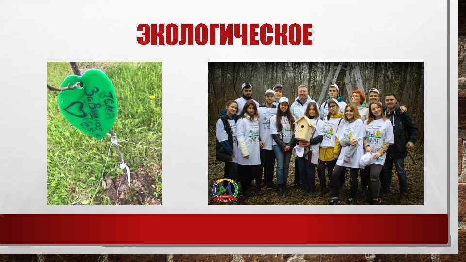 ЭКОЛОГИЧЕСКОЕ 