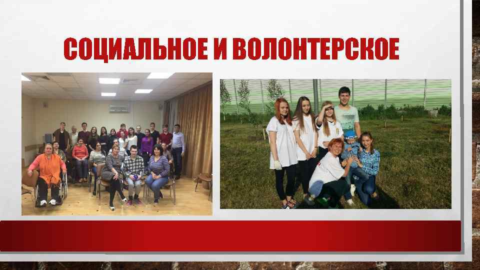 СОЦИАЛЬНОЕ И ВОЛОНТЕРСКОЕ 