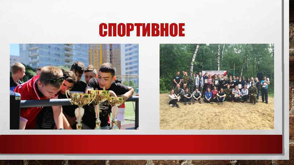 СПОРТИВНОЕ 