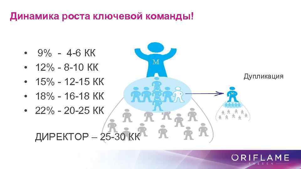  Динамика роста ключевой команды! • • • 9% - 4 -6 КК 12%