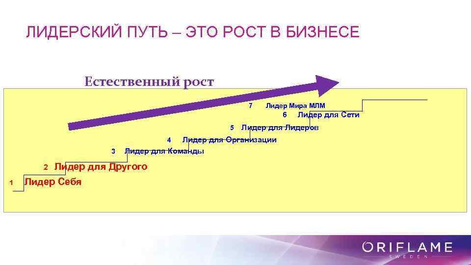 ЛИДЕРСКИЙ ПУТЬ – ЭТО РОСТ В БИЗНЕСЕ Естественный рост 7 Лидер Мира МЛМ 6