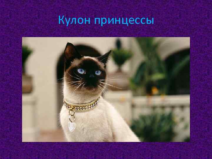 Кулон принцессы 