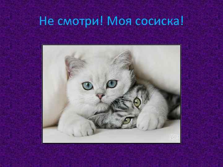 Не смотри! Моя сосиска! 