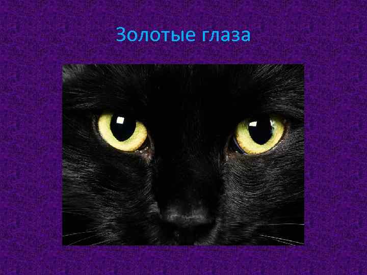 Золотые глаза 