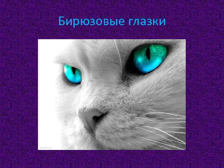 Бирюзовые глазки 