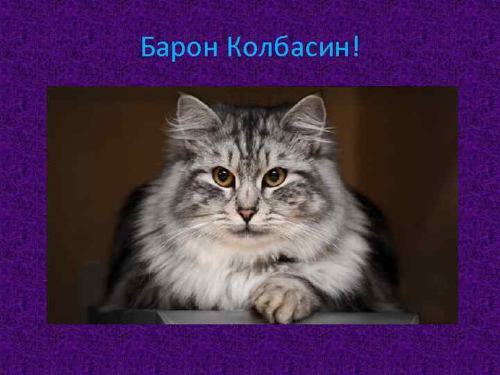 Барон Колбасин! 